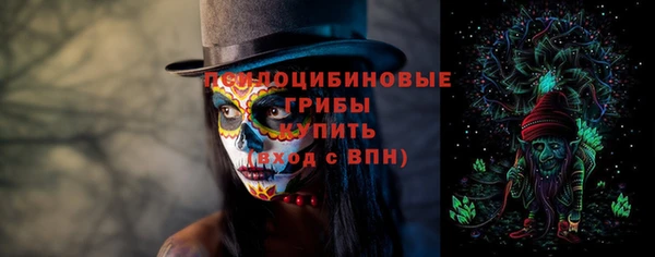 спиды Белокуриха
