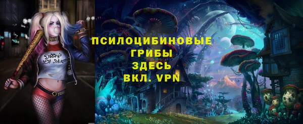 спиды Белокуриха